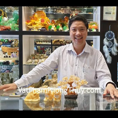 Anh Minh - khách hàng mua tỳ hưu đá Hoàng Long, cóc đá Hoàng Long GM022 và cây tài lộc KC108
