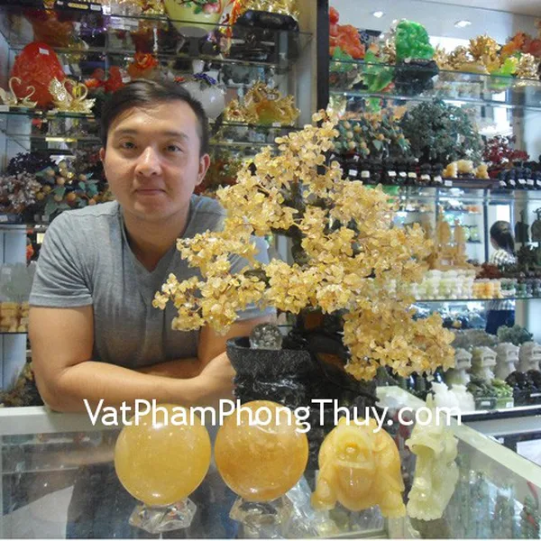 Anh Vinh - khách hàng mua cây tài lộc HCA252, long quy hoàng long M038, cầu thạch anh vàng HM155 và rồng cẩm thạch nằm N076-1