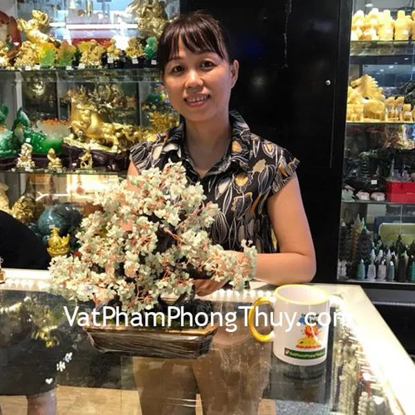 Chị Thơm - Khách hàng mua Cây tài lộc kiểu mới pháo hoa thạch anh xanh KC072