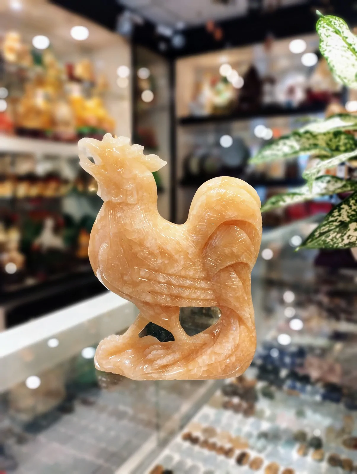Gà hoàng long trên núi gỗ GM116