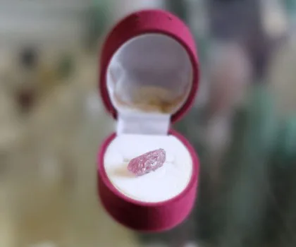 Tỳ hưu Ruby GCN 51084026231 S6287-519.86