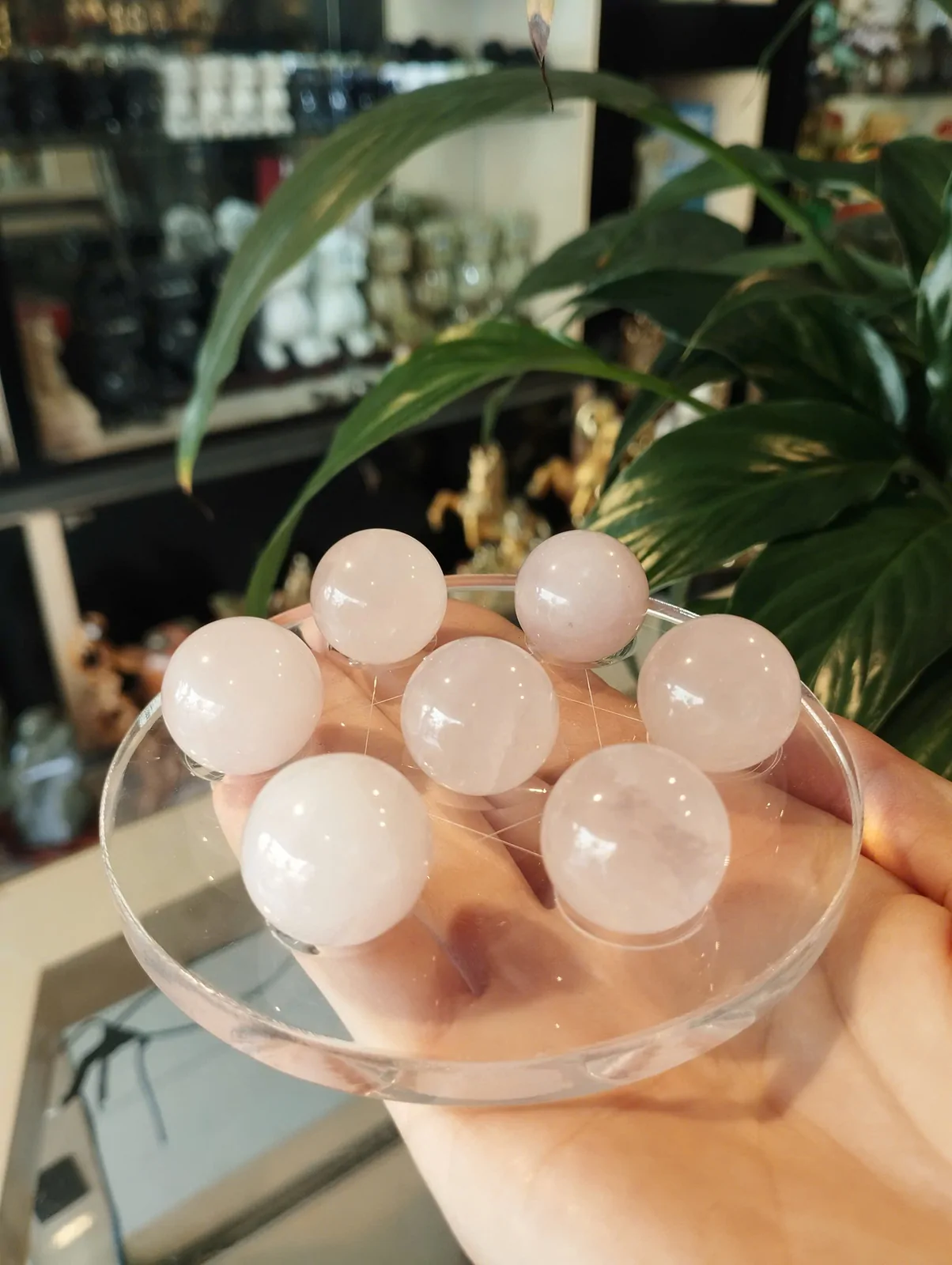 Đĩa thất tinh thạch anh hồng nhỏ R096